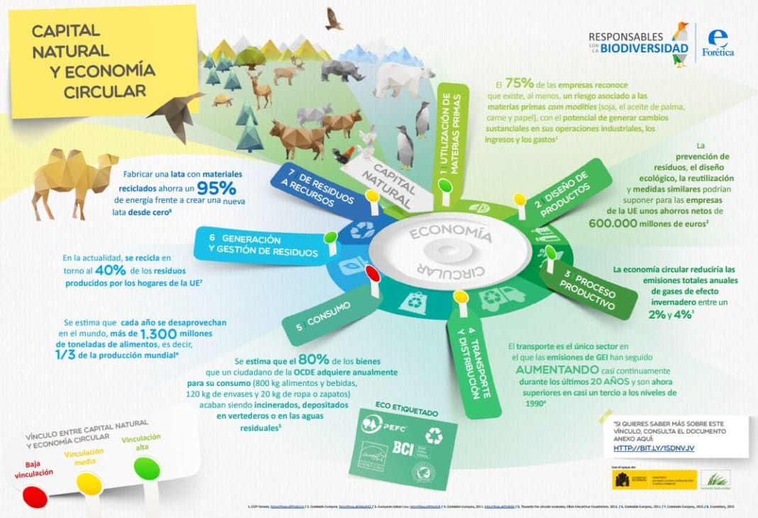 Econom A Circular Qu Es C Mo Funciona Y Ejemplos Ovacen