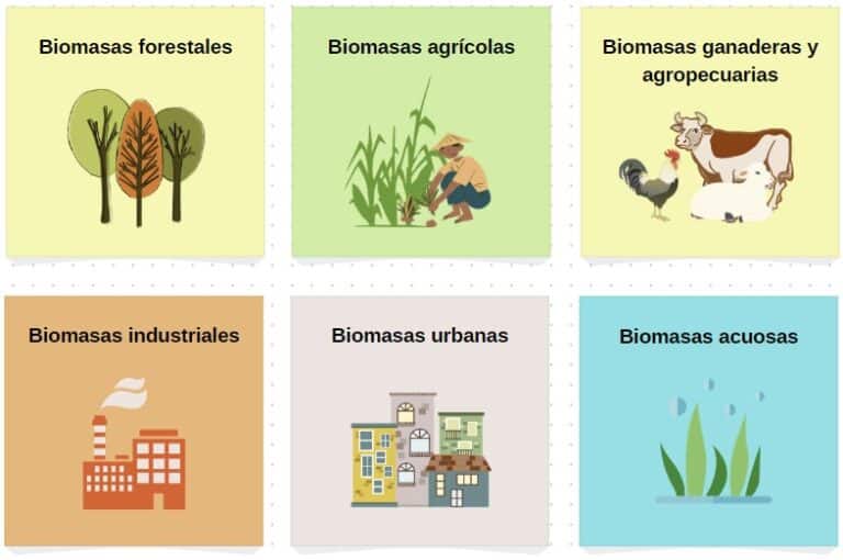 Energ A Biomasa Qu Es C Mo Se Obtiene Y Ventajas Ovacen