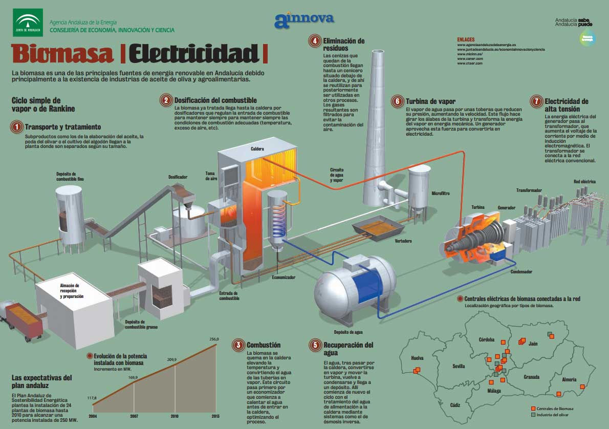 infografia energia biomasa
