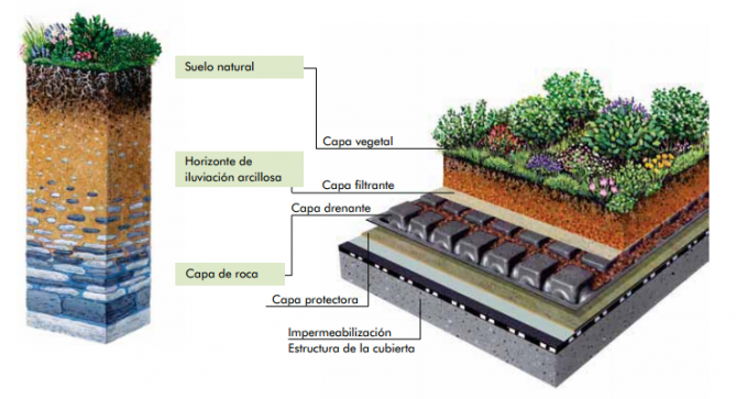 Cubiertas verdes y techos ajardinados ¿Es lo que necesitas?