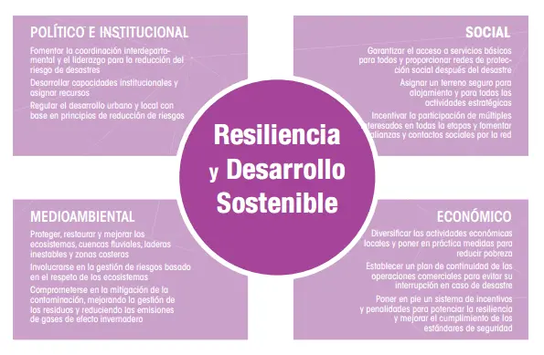 Resiliencia Y El Concepto De Adaptacion