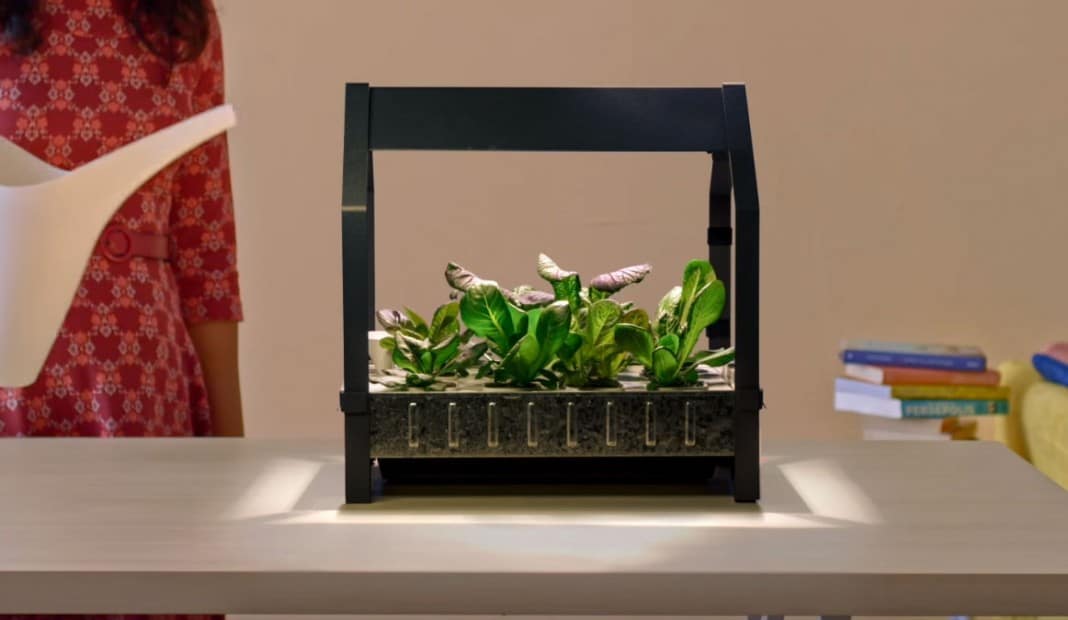 Cultiva verduras en casa con IKEA kit jardín hidropónico | OVACEN