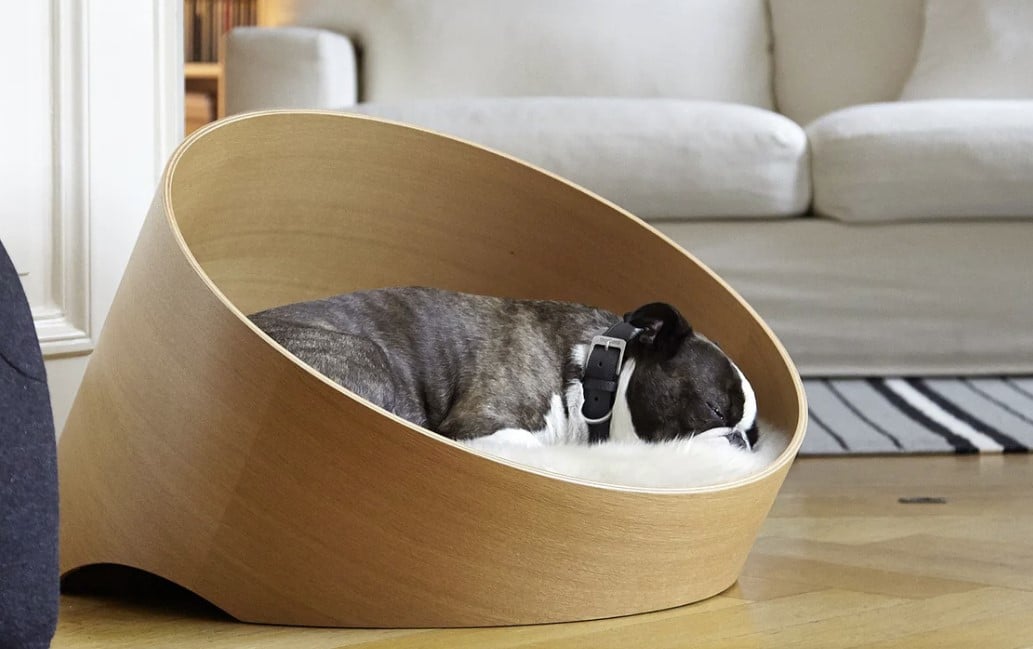 cestas elegantes para perros