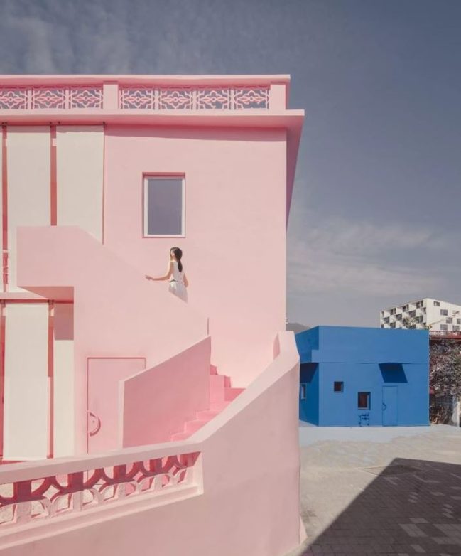 Una casa azul y una rosa... ¿Cuál te gusta más? | OVACEN