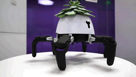 robot para cuidar plantas