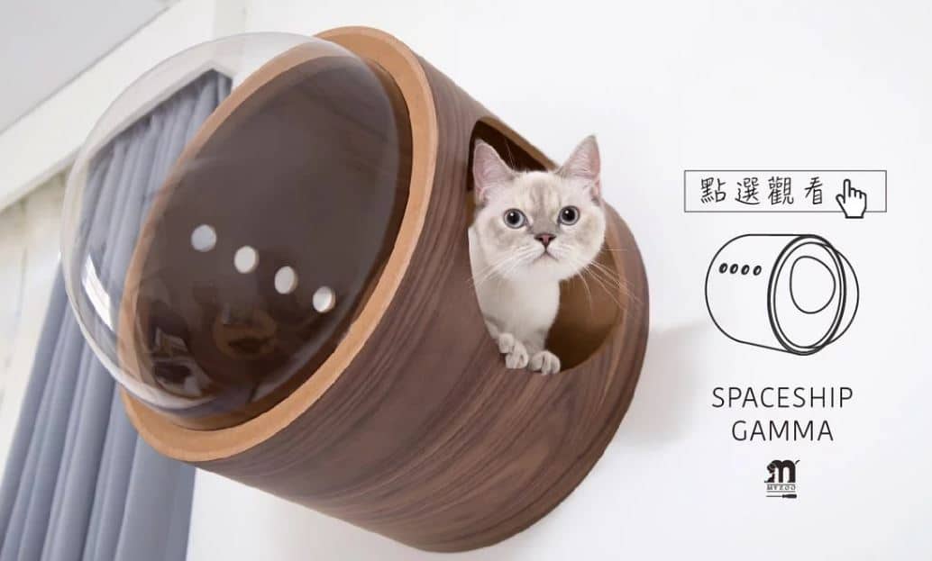 Camas para gatos online originales