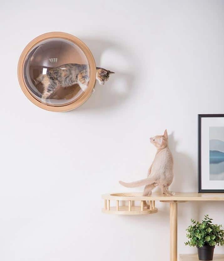 13 Casas y camas para gatos con puro dise o y arquitectura OVACEN