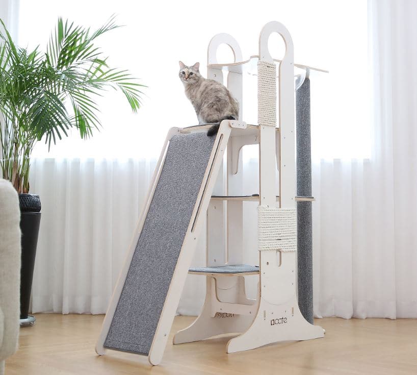 Gimnasio para gatos discount hecho en casa