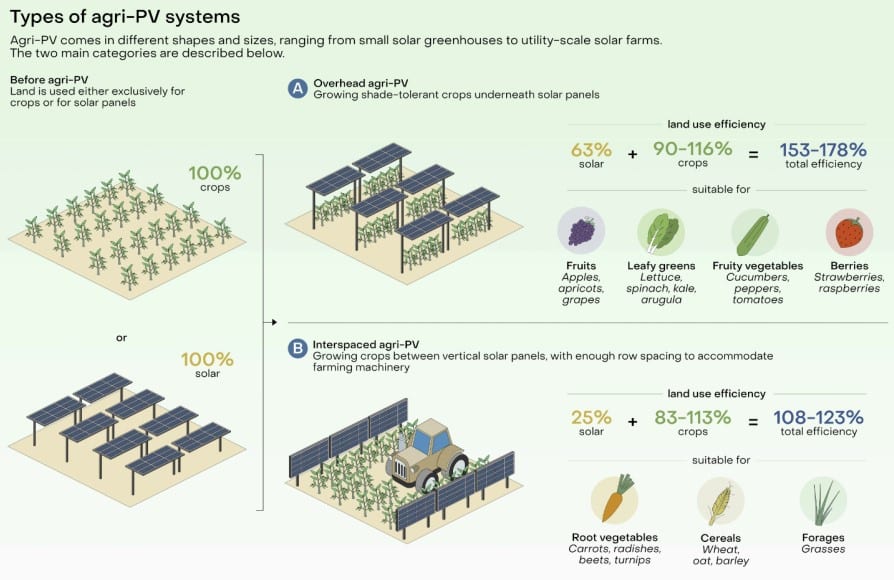 Tipos de sistemas agro fotovoltaicos