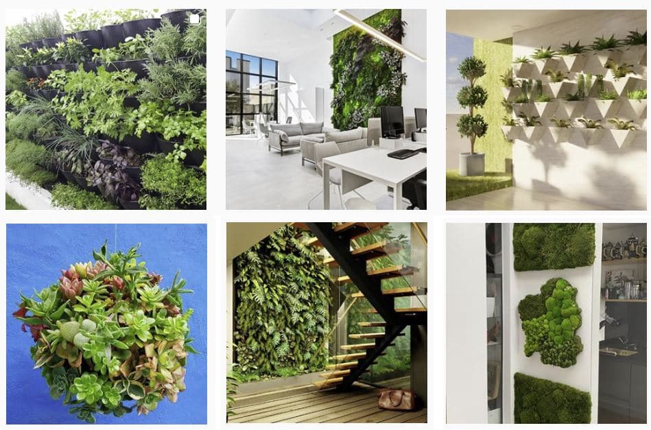 fotos e imágenes de jardines verticales para inspirarse