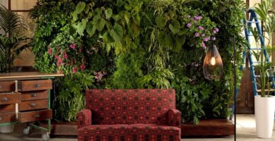 Noticias sobre medio ambiente y ecología | OVACEN