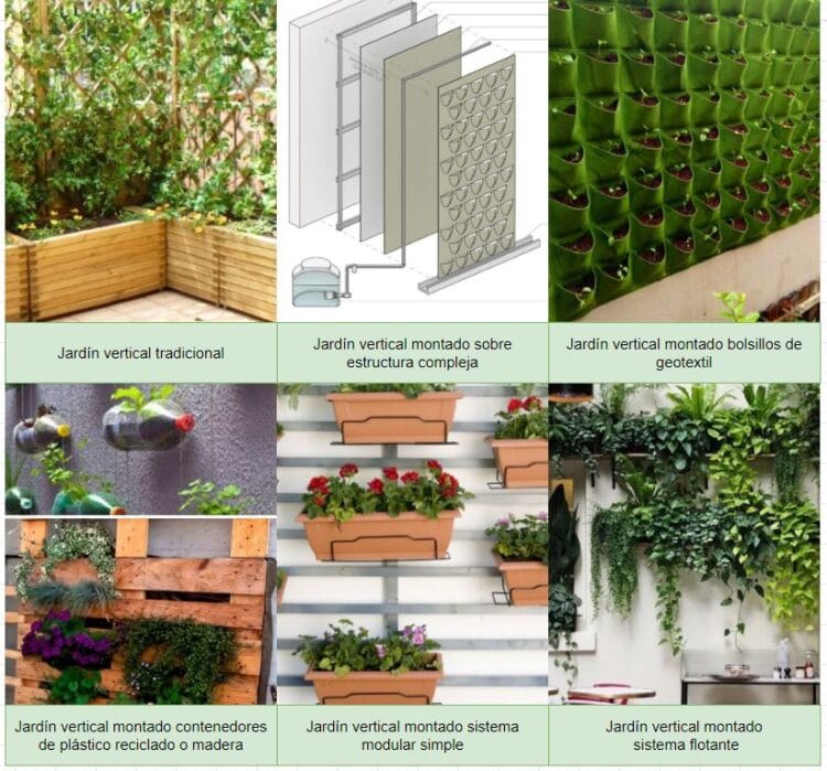 Jardines Verticales 9 Pasos Cómo Hacer Un Jardín Vertical En Casa Y