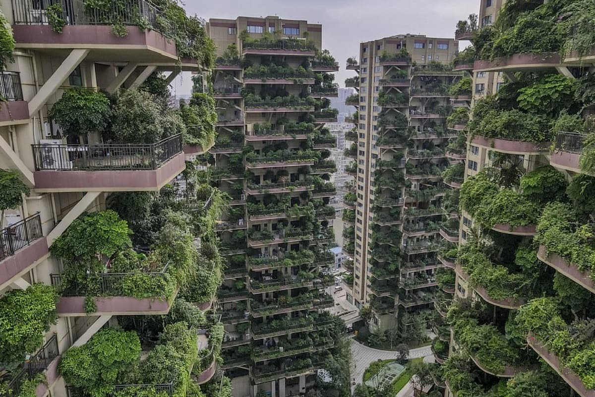 Proyecto-arquitectura-bosque-verde