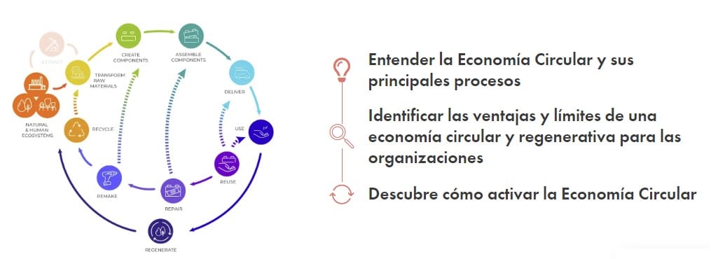 curso gratuito online economía circular y sostenibilidad