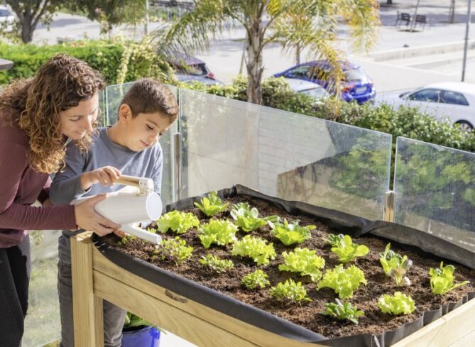 Urban garden: 9 Steps to make a home garden and terraces