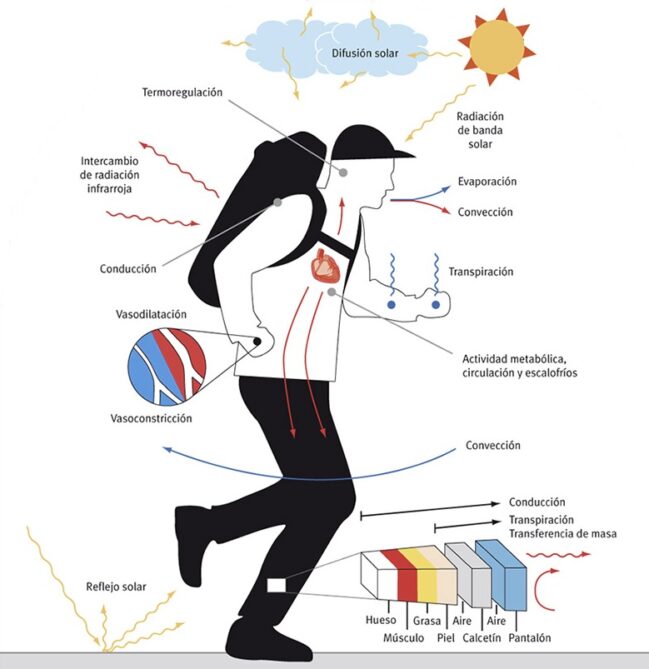 BODYHEAT Cómo producir calefacción mientras bailas en la discoteca