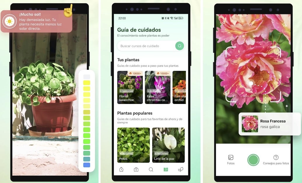 app móvil para cuidar plantas interior