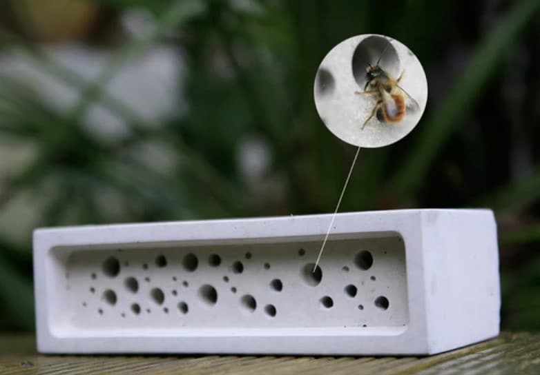 diseño arquitectura para abejas