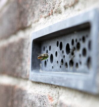 ladrillos para abejas en ciudades