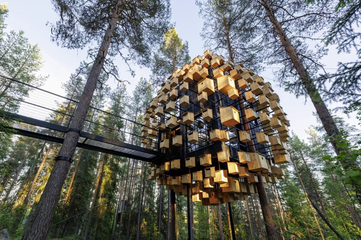 Habitación hotel Suecia en bosque