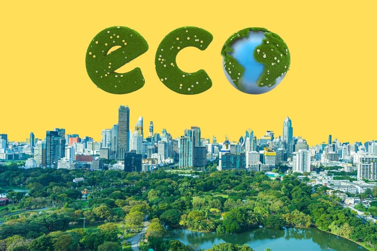 Guide to ecological, environmental, and sustainable projects