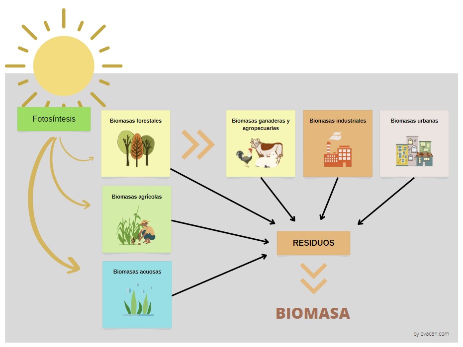 Cuál es el origen de la biomasa