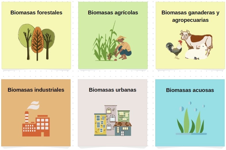 qué tipos de biomasa hay
