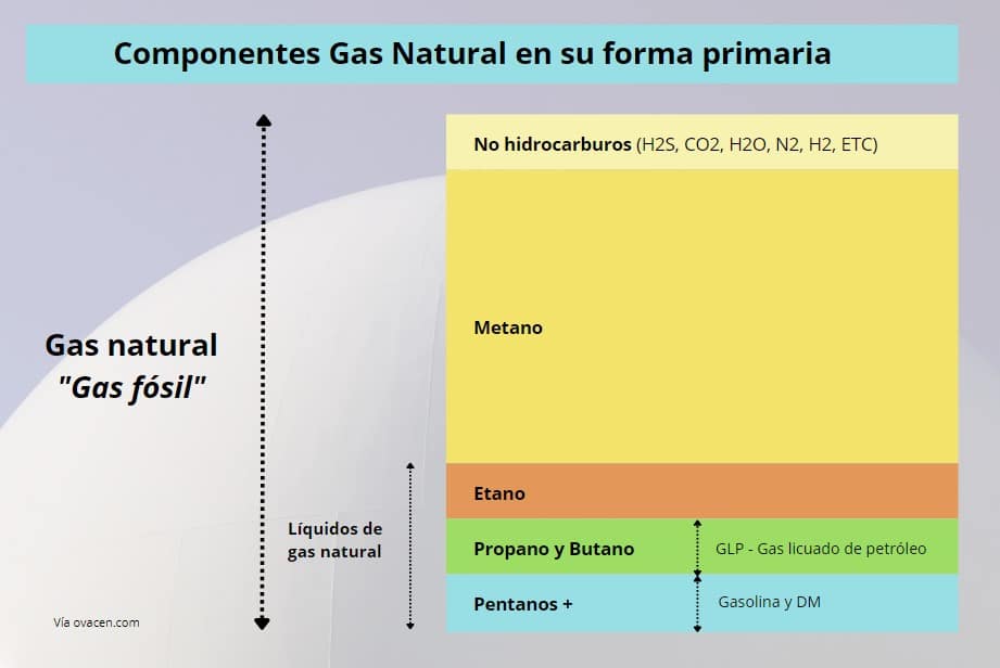 componentes gas natural