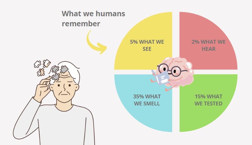 psychology in the design of shops
