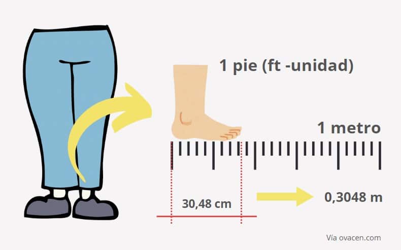 calculadora online para pasar de pie a metro