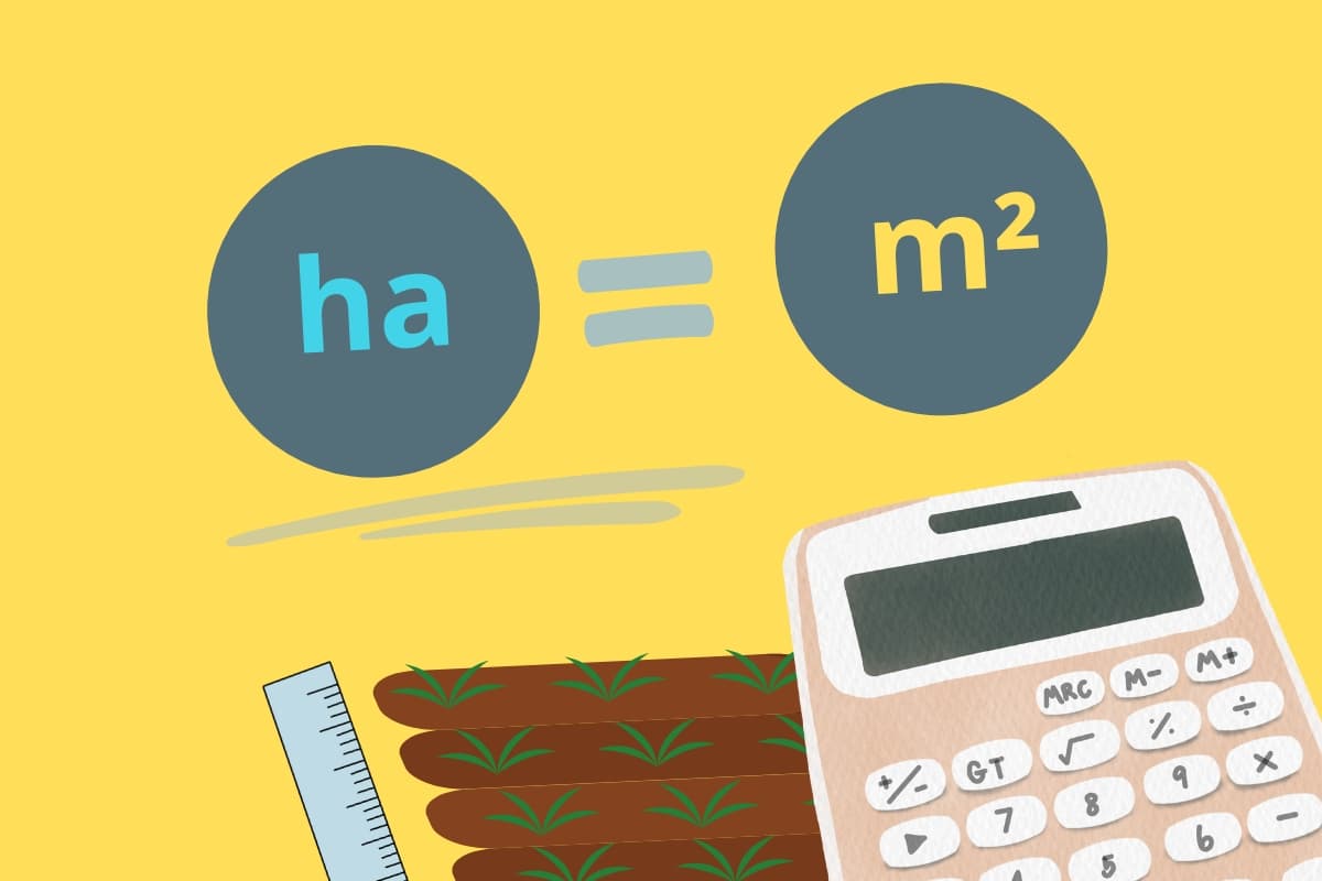 calculadora convertir hectáreas a metros