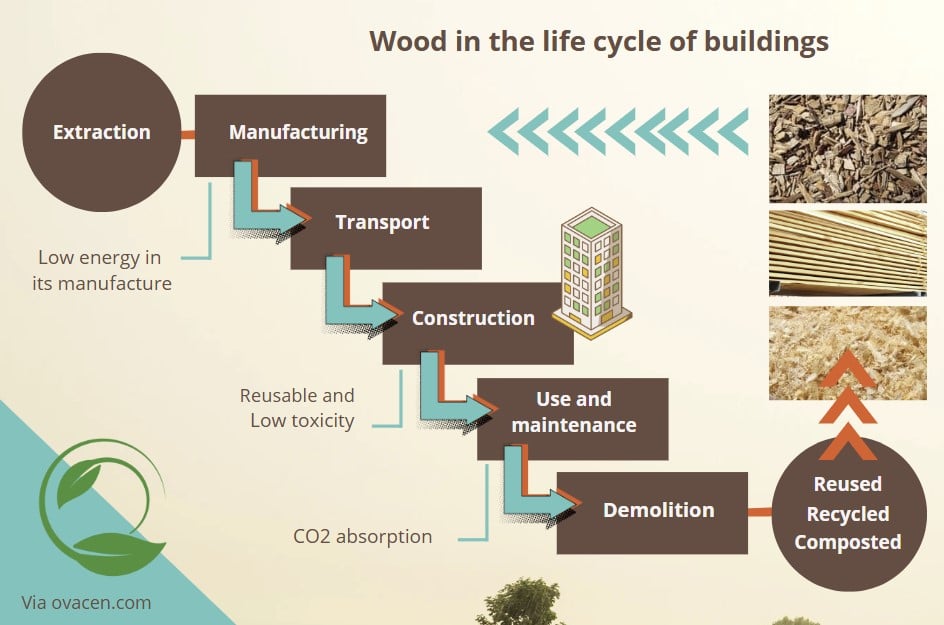 life cycle wood in building construction