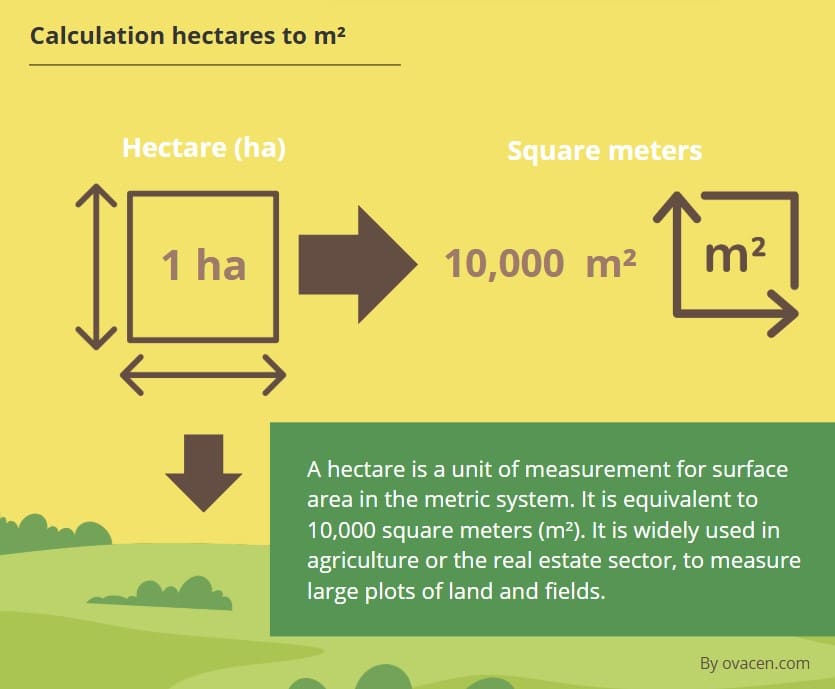 calculation of hectares in square meters m²