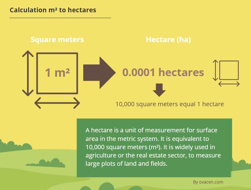 How to calculate square meters to hectares