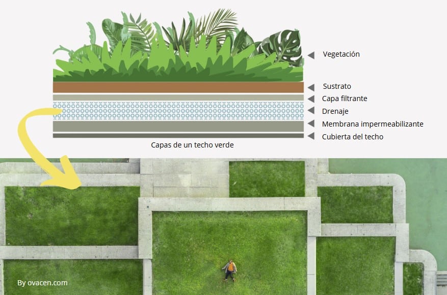 capas de una cubierta ajardinada o vegetal