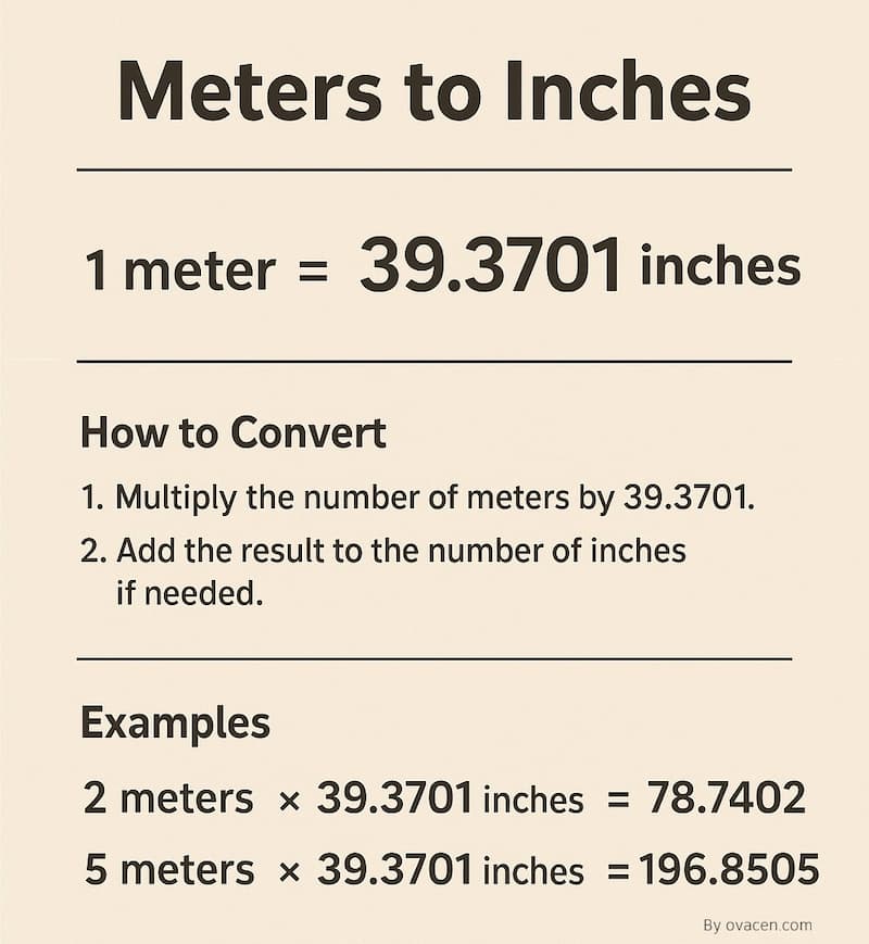 convert meter to inches (m to inch)