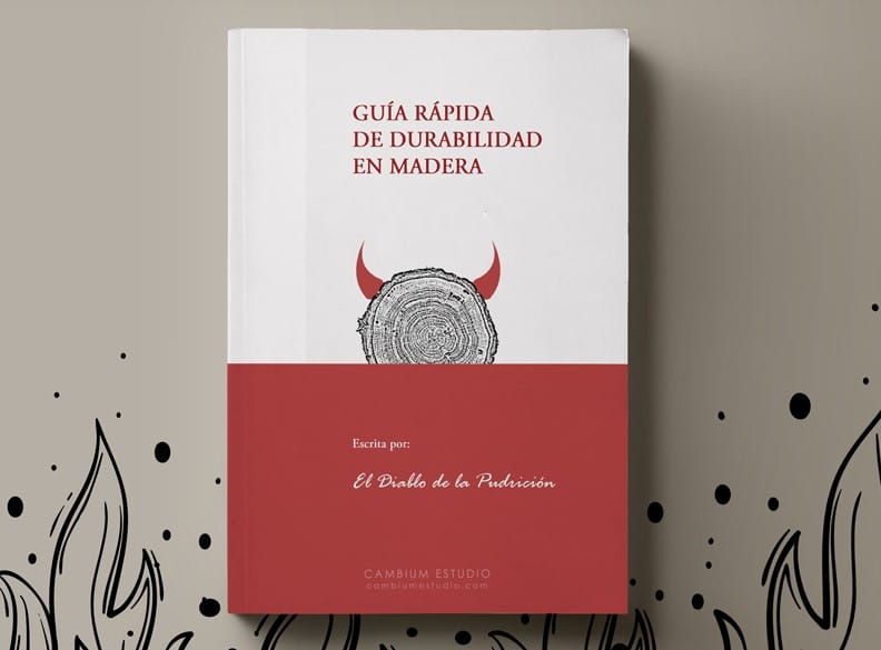 libro sobre madera en construcción