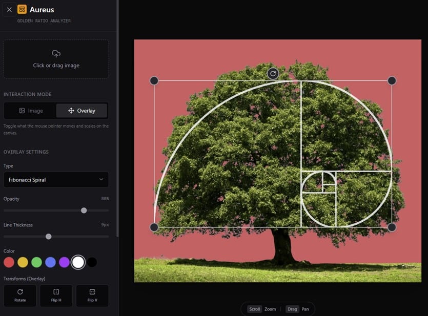 compare photo with Fibonacci spiral or the Phi grid
